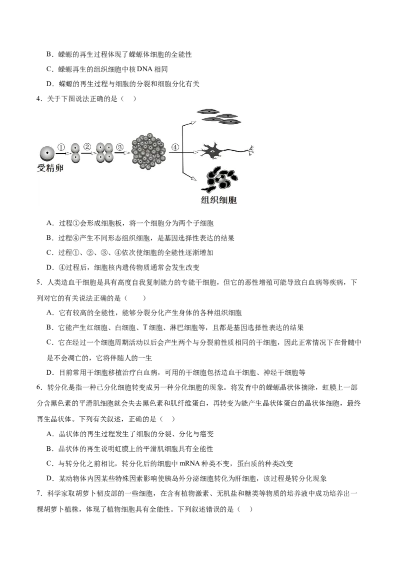 考点通关卷14细胞分化、衰老、凋亡和癌变（原卷版）_新高考复习资料_2025年新高考资料_2025年高考生物一轮复习考点通关卷（新高考通用）