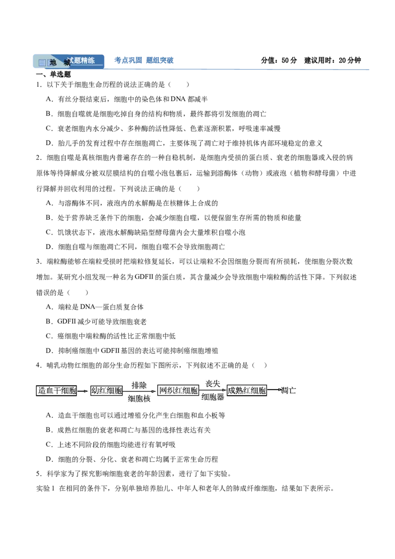 考点通关卷14细胞分化、衰老、凋亡和癌变（原卷版）_新高考复习资料_2025年新高考资料_2025年高考生物一轮复习考点通关卷（新高考通用）