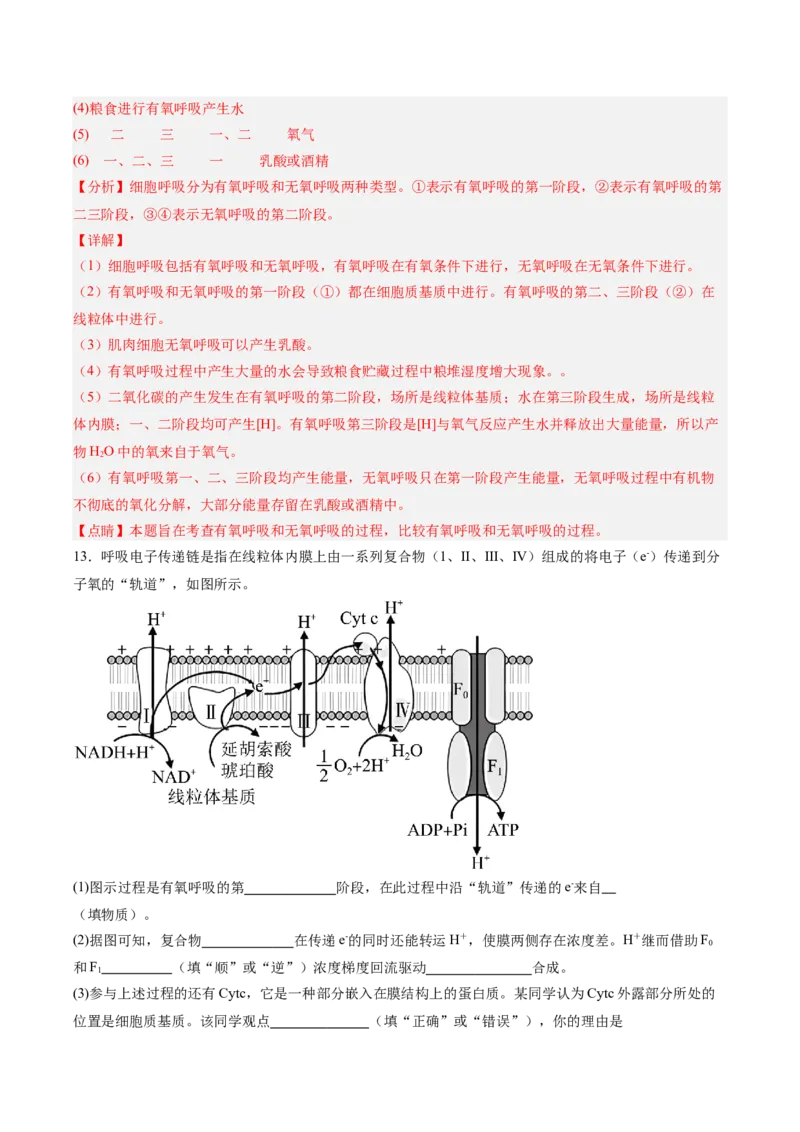 考点通关卷09细胞呼吸（解析版）_新高考复习资料_2025年新高考资料_2025年高考生物一轮复习考点通关卷（新高考通用）