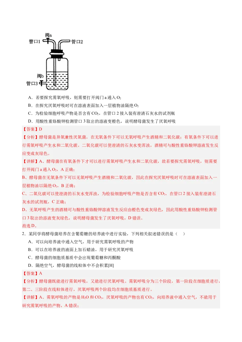 考点通关卷09细胞呼吸（解析版）_新高考复习资料_2025年新高考资料_2025年高考生物一轮复习考点通关卷（新高考通用）