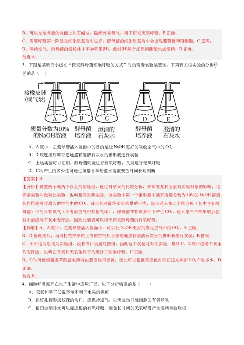 考点通关卷09细胞呼吸（解析版）_新高考复习资料_2025年新高考资料_2025年高考生物一轮复习考点通关卷（新高考通用）
