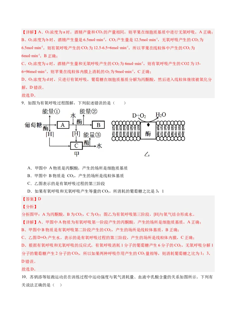 考点通关卷09细胞呼吸（解析版）_新高考复习资料_2025年新高考资料_2025年高考生物一轮复习考点通关卷（新高考通用）