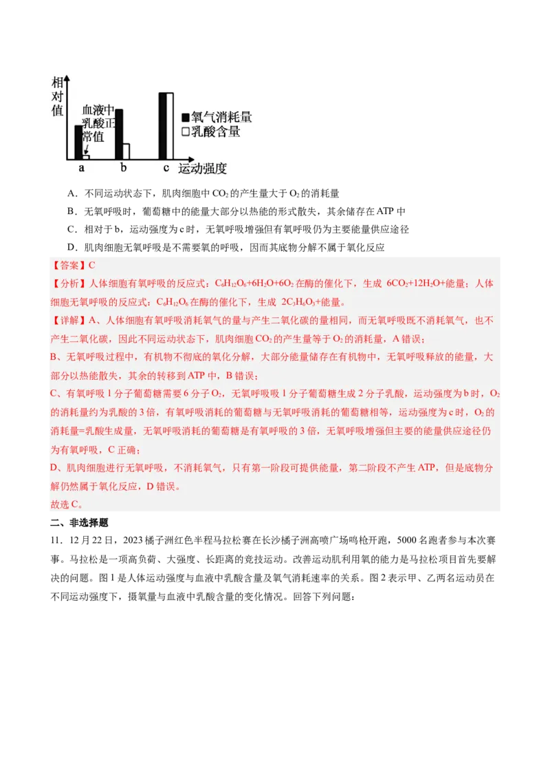 考点通关卷09细胞呼吸（解析版）_新高考复习资料_2025年新高考资料_2025年高考生物一轮复习考点通关卷（新高考通用）