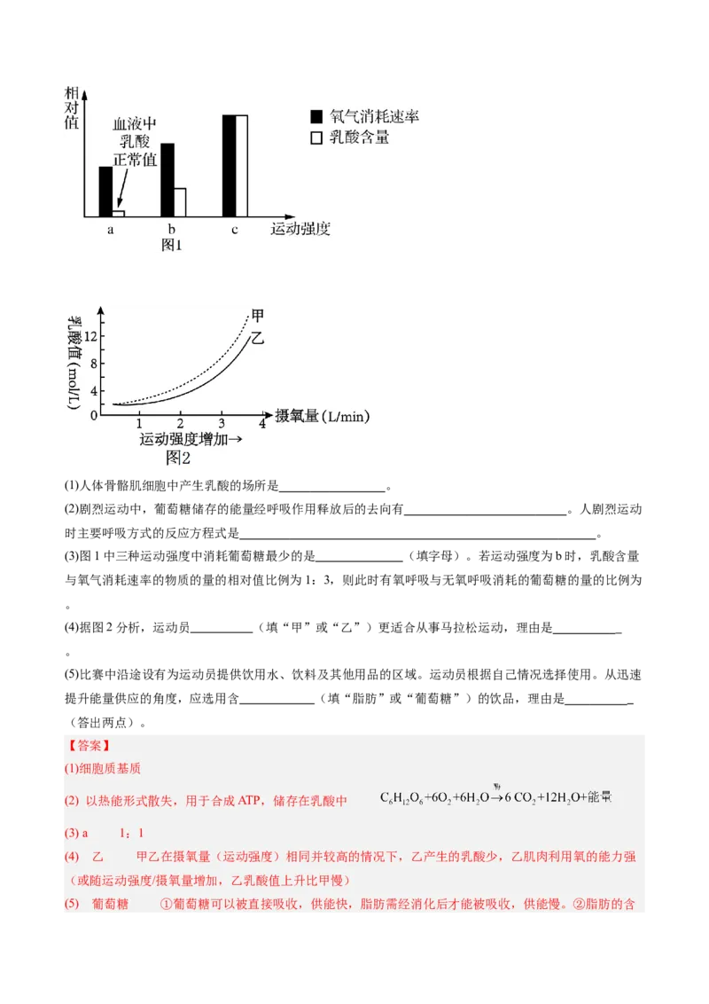 考点通关卷09细胞呼吸（解析版）_新高考复习资料_2025年新高考资料_2025年高考生物一轮复习考点通关卷（新高考通用）