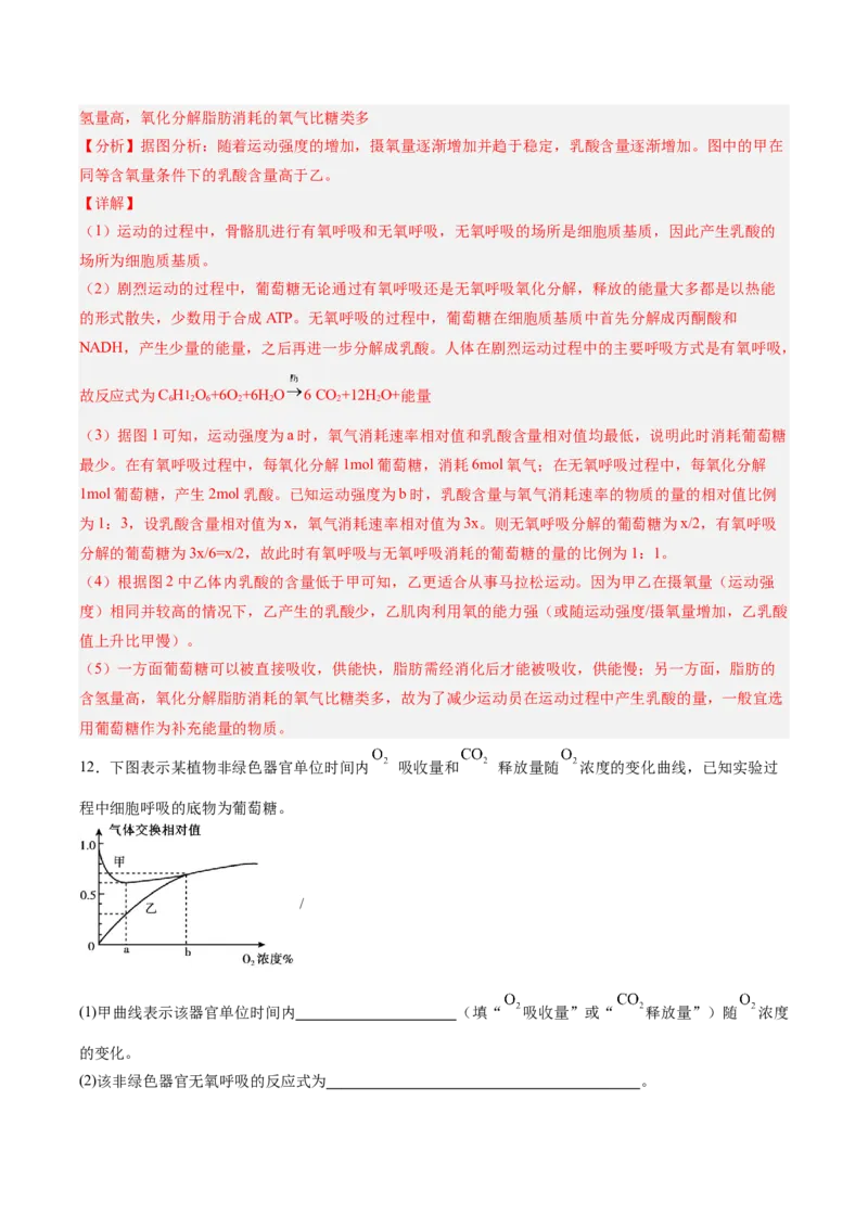 考点通关卷09细胞呼吸（解析版）_新高考复习资料_2025年新高考资料_2025年高考生物一轮复习考点通关卷（新高考通用）