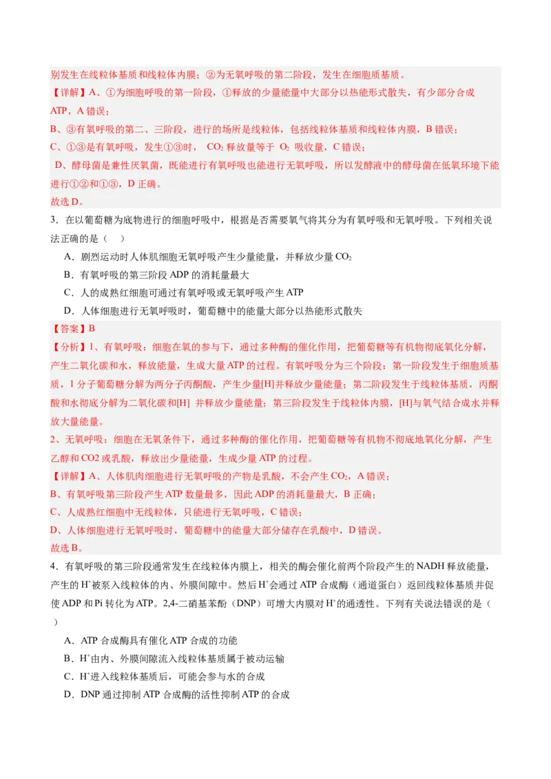 考点通关卷09细胞呼吸（解析版）_新高考复习资料_2025年新高考资料_2025年高考生物一轮复习考点通关卷（新高考通用）