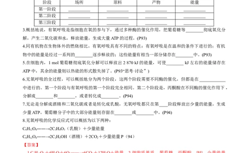 考点通关卷09细胞呼吸（解析版）_新高考复习资料_2025年新高考资料_2025年高考生物一轮复习考点通关卷（新高考通用）