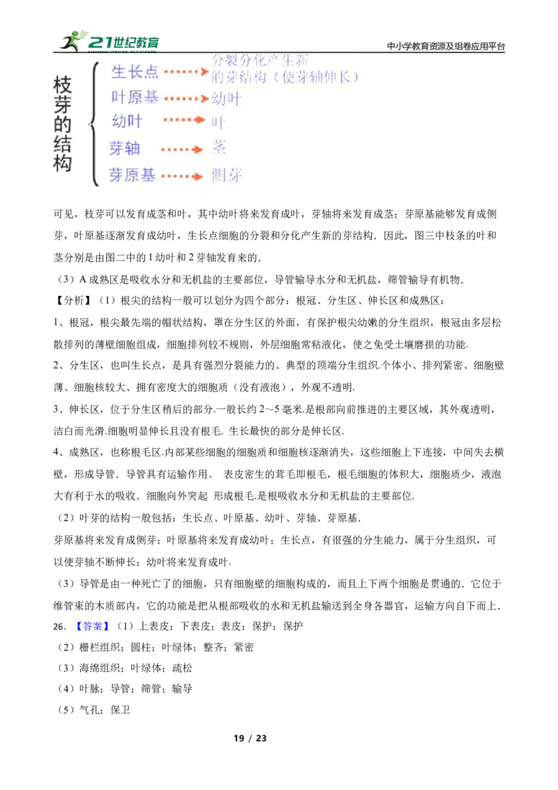 人教版2023届中考一轮复习专用训练卷&mdash;专题7绿色植物与生物圈的水循环（含解析）_6生物中考复习_2023年中考复习资料_一轮复习_人教版2023届中考生物一轮复习专用训练卷