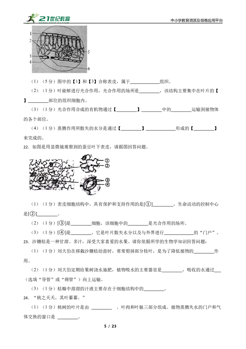 人教版2023届中考一轮复习专用训练卷&mdash;专题7绿色植物与生物圈的水循环（含解析）_6生物中考复习_2023年中考复习资料_一轮复习_人教版2023届中考生物一轮复习专用训练卷