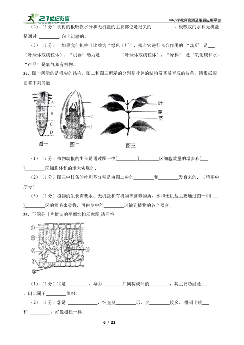 人教版2023届中考一轮复习专用训练卷&mdash;专题7绿色植物与生物圈的水循环（含解析）_6生物中考复习_2023年中考复习资料_一轮复习_人教版2023届中考生物一轮复习专用训练卷