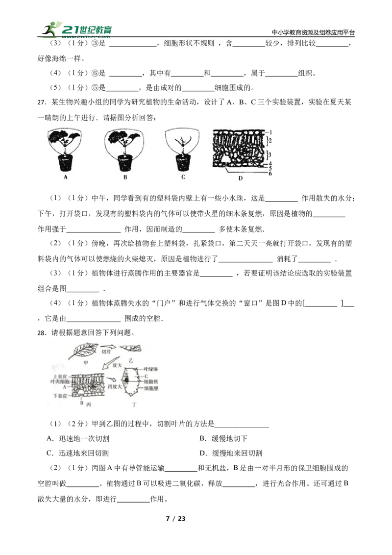 人教版2023届中考一轮复习专用训练卷&mdash;专题7绿色植物与生物圈的水循环（含解析）_6生物中考复习_2023年中考复习资料_一轮复习_人教版2023届中考生物一轮复习专用训练卷