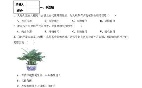人教版2023届中考一轮复习专用训练卷&mdash;专题7绿色植物与生物圈的水循环（含解析）_6生物中考复习_2023年中考复习资料_一轮复习_人教版2023届中考生物一轮复习专用训练卷