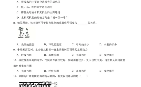 人教版2023届中考一轮复习专用训练卷&mdash;专题7绿色植物与生物圈的水循环（含解析）_6生物中考复习_2023年中考复习资料_一轮复习_人教版2023届中考生物一轮复习专用训练卷