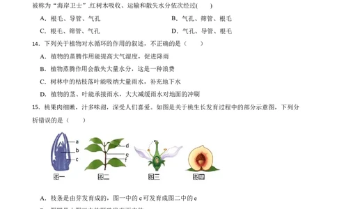 人教版2023届中考一轮复习专用训练卷&mdash;专题7绿色植物与生物圈的水循环（含解析）_6生物中考复习_2023年中考复习资料_一轮复习_人教版2023届中考生物一轮复习专用训练卷