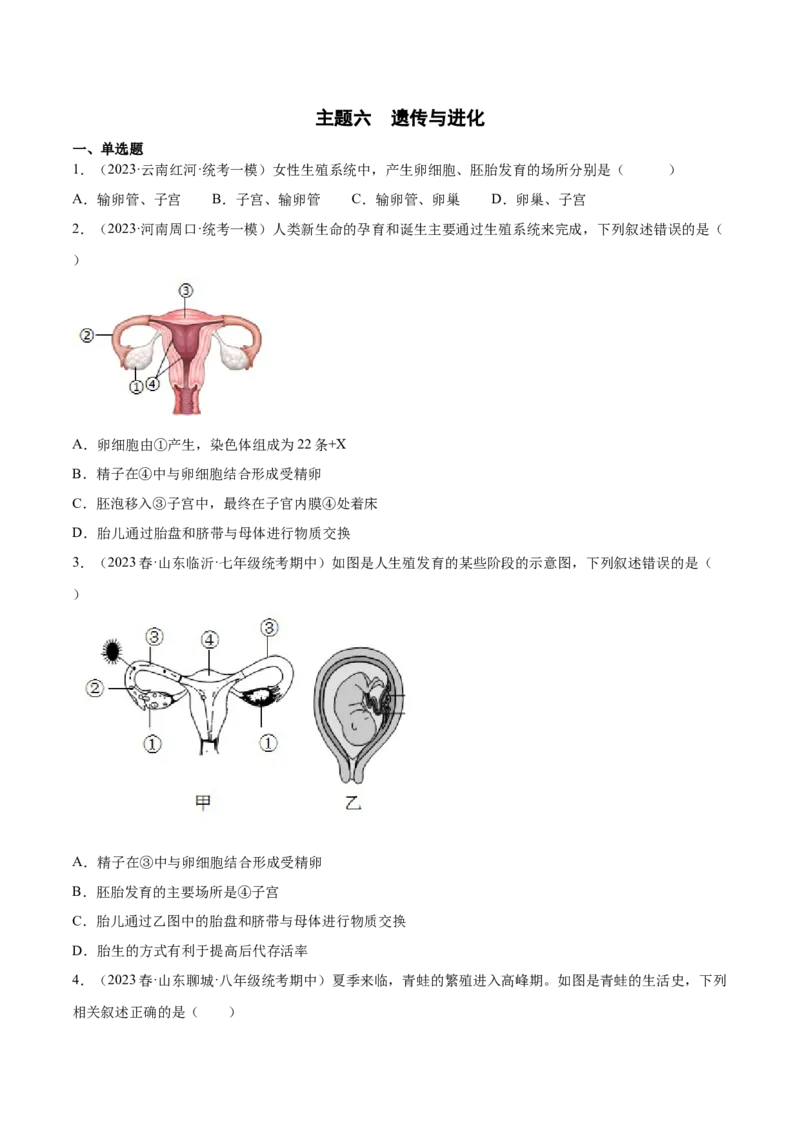 主题06遗传与进化（原卷版）_6生物中考复习_2023年中考复习资料_二轮复习_2023年中考生物二轮复习讲练测_主题06遗传与进化（测试）-2023年中考生物二轮复习讲练测_38974351