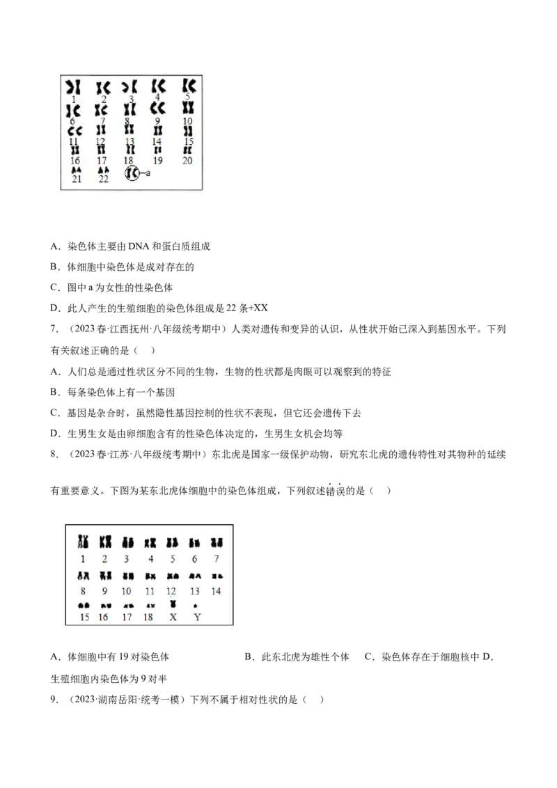 主题06遗传与进化（原卷版）_6生物中考复习_2023年中考复习资料_二轮复习_2023年中考生物二轮复习讲练测_主题06遗传与进化（测试）-2023年中考生物二轮复习讲练测_38974351