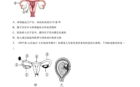 主题06遗传与进化（原卷版）_6生物中考复习_2023年中考复习资料_二轮复习_2023年中考生物二轮复习讲练测_主题06遗传与进化（测试）-2023年中考生物二轮复习讲练测_38974351