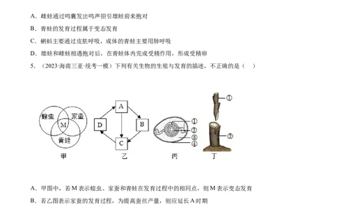 主题06遗传与进化（原卷版）_6生物中考复习_2023年中考复习资料_二轮复习_2023年中考生物二轮复习讲练测_主题06遗传与进化（测试）-2023年中考生物二轮复习讲练测_38974351