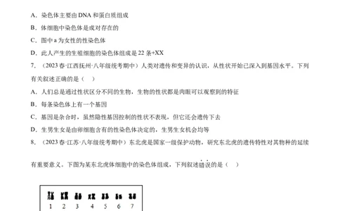 主题06遗传与进化（原卷版）_6生物中考复习_2023年中考复习资料_二轮复习_2023年中考生物二轮复习讲练测_主题06遗传与进化（测试）-2023年中考生物二轮复习讲练测_38974351