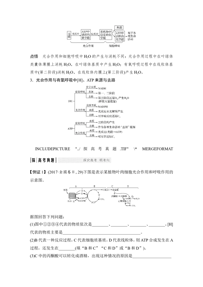 考点加强课1光合作用与细胞呼吸的关系及自然或密闭环境中光合作用曲线分析_新高考复习资料_2022年新高考复习资料_2022年一轮复习最新版_1.2022年高考生物一轮复习全国通用版