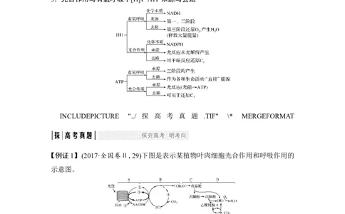 考点加强课1光合作用与细胞呼吸的关系及自然或密闭环境中光合作用曲线分析_新高考复习资料_2022年新高考复习资料_2022年一轮复习最新版_1.2022年高考生物一轮复习全国通用版