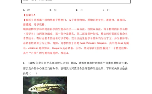 专题18生物的多样性及其保护-2022年中考生物一轮复习抓重点考典型（人教版）（解析版）_6生物中考复习_2023年中考复习资料_一轮复习_2022年中考生物一轮复习抓重点考典型（人教版）