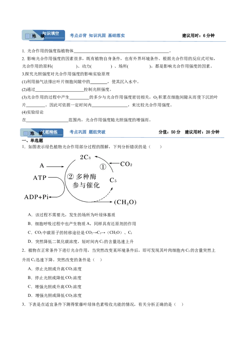 考点通关卷10光合作用（原卷版）_新高考复习资料_2025年新高考资料_2025年高考生物一轮复习考点通关卷（新高考通用）