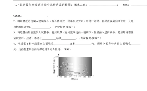 考点通关卷10光合作用（原卷版）_新高考复习资料_2025年新高考资料_2025年高考生物一轮复习考点通关卷（新高考通用）