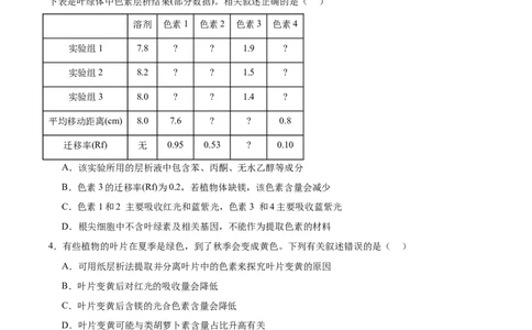 考点通关卷10光合作用（原卷版）_新高考复习资料_2025年新高考资料_2025年高考生物一轮复习考点通关卷（新高考通用）