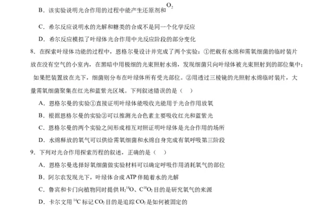 考点通关卷10光合作用（原卷版）_新高考复习资料_2025年新高考资料_2025年高考生物一轮复习考点通关卷（新高考通用）