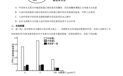 考点通关卷10光合作用（原卷版）_新高考复习资料_2025年新高考资料_2025年高考生物一轮复习考点通关卷（新高考通用）