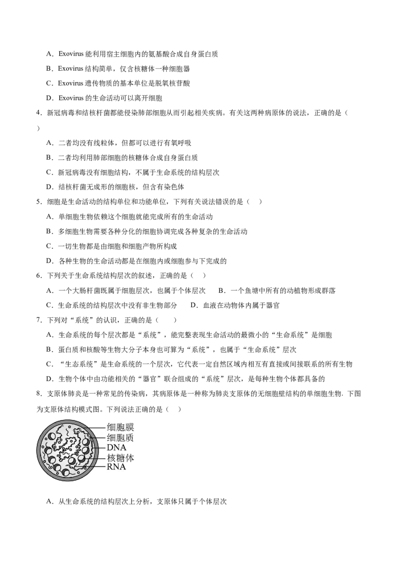 考点通关卷01走近细胞（原卷版）_新高考复习资料_2025年新高考资料_2025年高考生物一轮复习考点通关卷（新高考通用）
