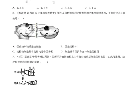 主题01生物体的结构层次（原卷版）_6生物中考复习_2023年中考复习资料_二轮复习_2023年中考生物二轮复习讲练测_主题01生物体的结构层次（测试）-2023年中考生物二轮复习讲练测_38804184