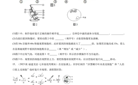 主题01生物体的结构层次（原卷版）_6生物中考复习_2023年中考复习资料_二轮复习_2023年中考生物二轮复习讲练测_主题01生物体的结构层次（测试）-2023年中考生物二轮复习讲练测_38804184