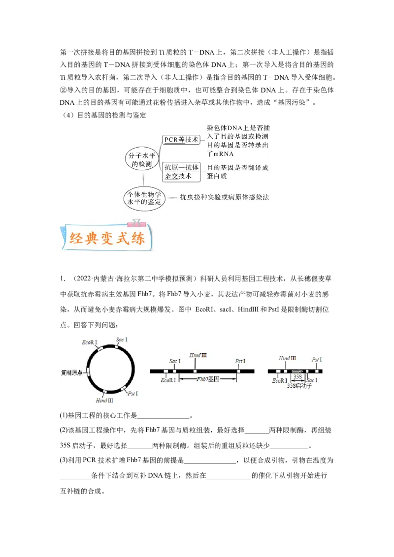 考向28基因工程及生物技术安全性与伦理问题-备战2023年高考生物一轮复习考点微专题（全国通用）（原卷版）(1)_通用版（老高考）复习资料_2023年复习资料_一轮复习