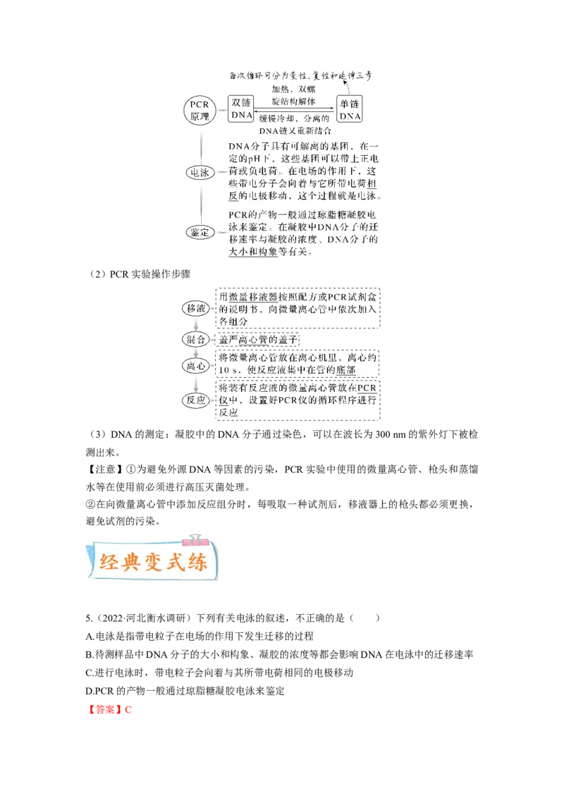 考向28基因工程及生物技术安全性与伦理问题-备战2023年高考生物一轮复习考点微专题（全国通用）（原卷版）(1)_通用版（老高考）复习资料_2023年复习资料_一轮复习