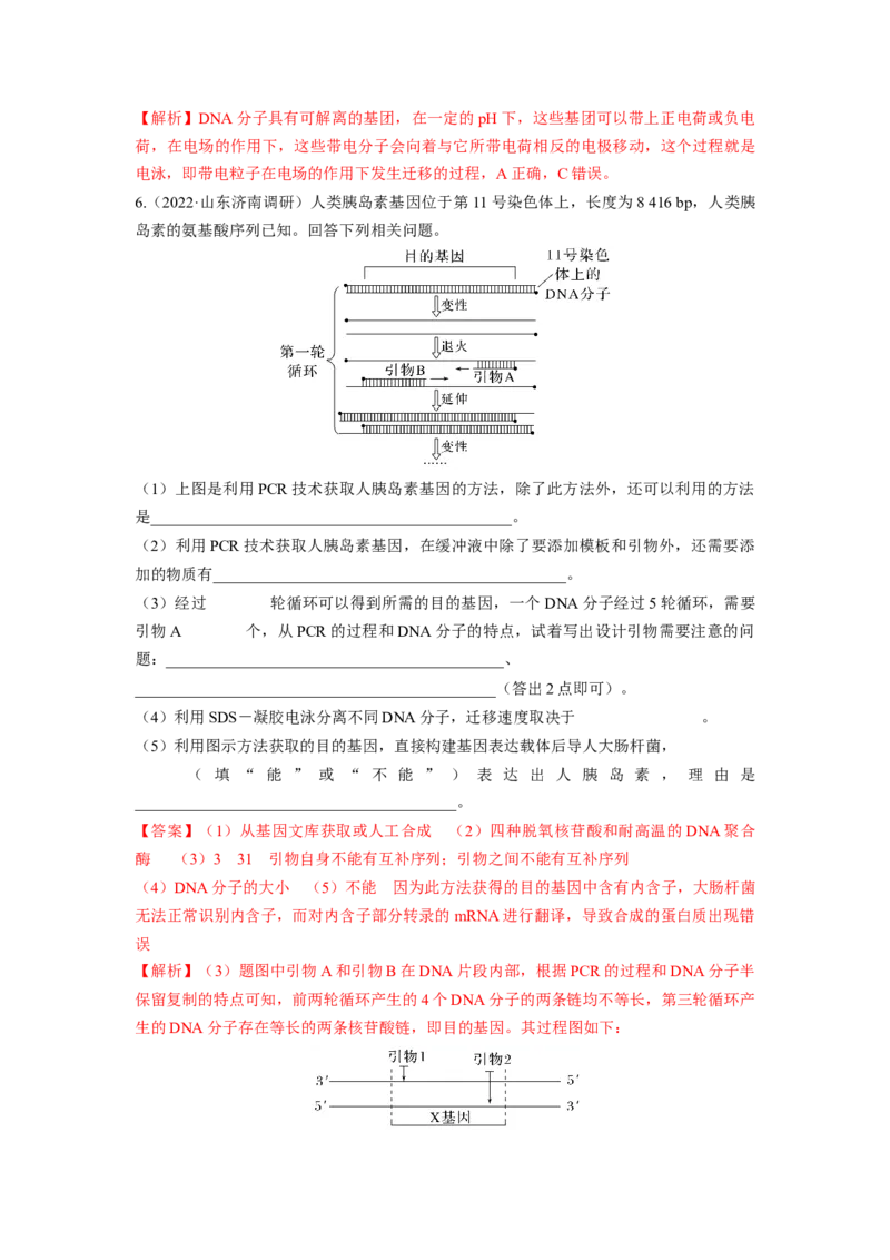 考向28基因工程及生物技术安全性与伦理问题-备战2023年高考生物一轮复习考点微专题（全国通用）（原卷版）(1)_通用版（老高考）复习资料_2023年复习资料_一轮复习