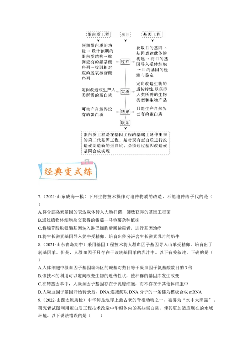 考向28基因工程及生物技术安全性与伦理问题-备战2023年高考生物一轮复习考点微专题（全国通用）（原卷版）(1)_通用版（老高考）复习资料_2023年复习资料_一轮复习