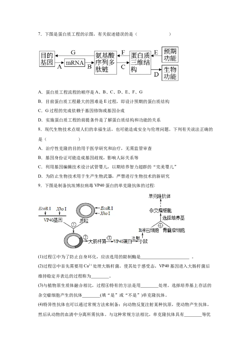 考向28基因工程及生物技术安全性与伦理问题-备战2023年高考生物一轮复习考点微专题（全国通用）（原卷版）(1)_通用版（老高考）复习资料_2023年复习资料_一轮复习