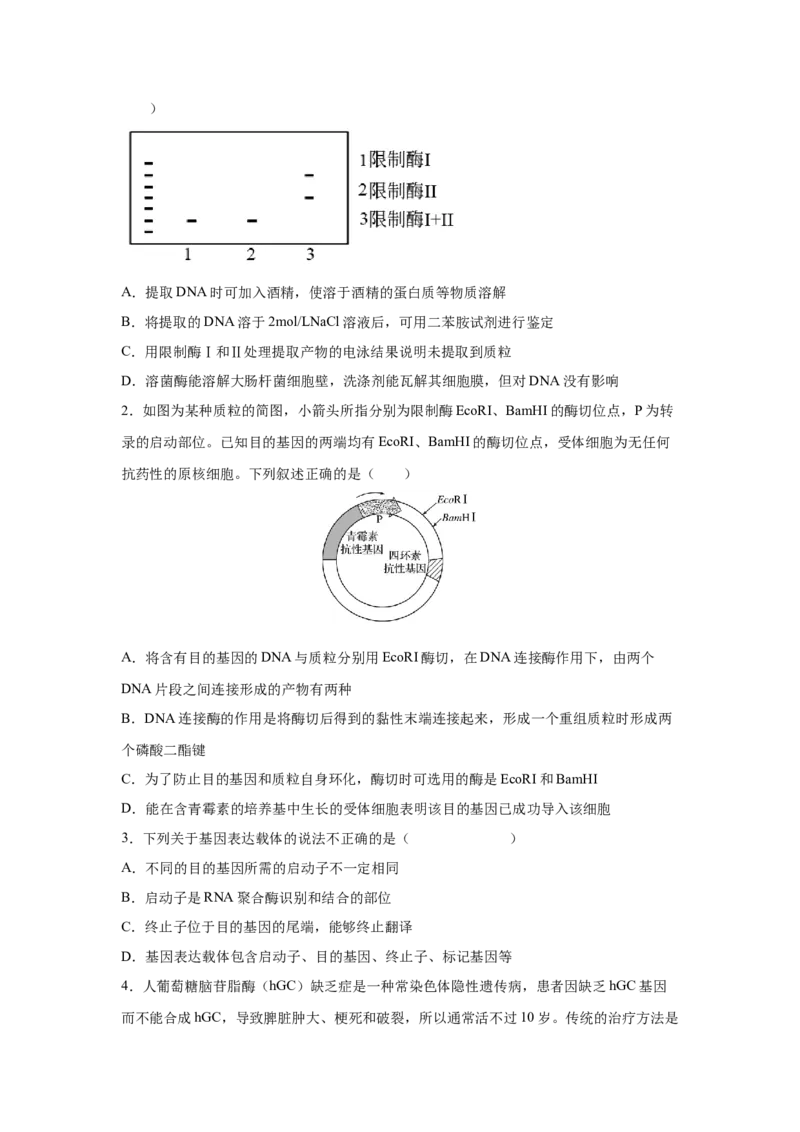 考向28基因工程及生物技术安全性与伦理问题-备战2023年高考生物一轮复习考点微专题（全国通用）（原卷版）(1)_通用版（老高考）复习资料_2023年复习资料_一轮复习