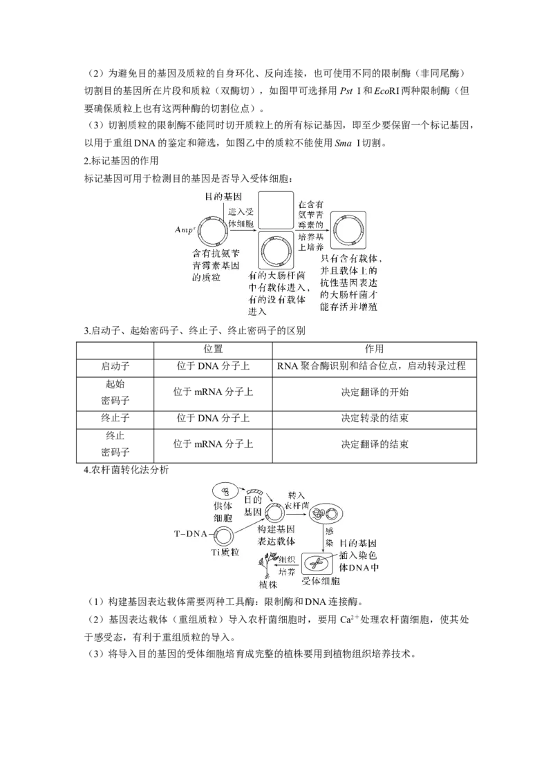 考向28基因工程及生物技术安全性与伦理问题-备战2023年高考生物一轮复习考点微专题（全国通用）（原卷版）(1)_通用版（老高考）复习资料_2023年复习资料_一轮复习
