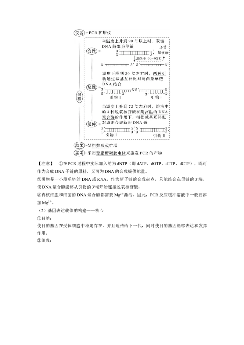 考向28基因工程及生物技术安全性与伦理问题-备战2023年高考生物一轮复习考点微专题（全国通用）（原卷版）(1)_通用版（老高考）复习资料_2023年复习资料_一轮复习