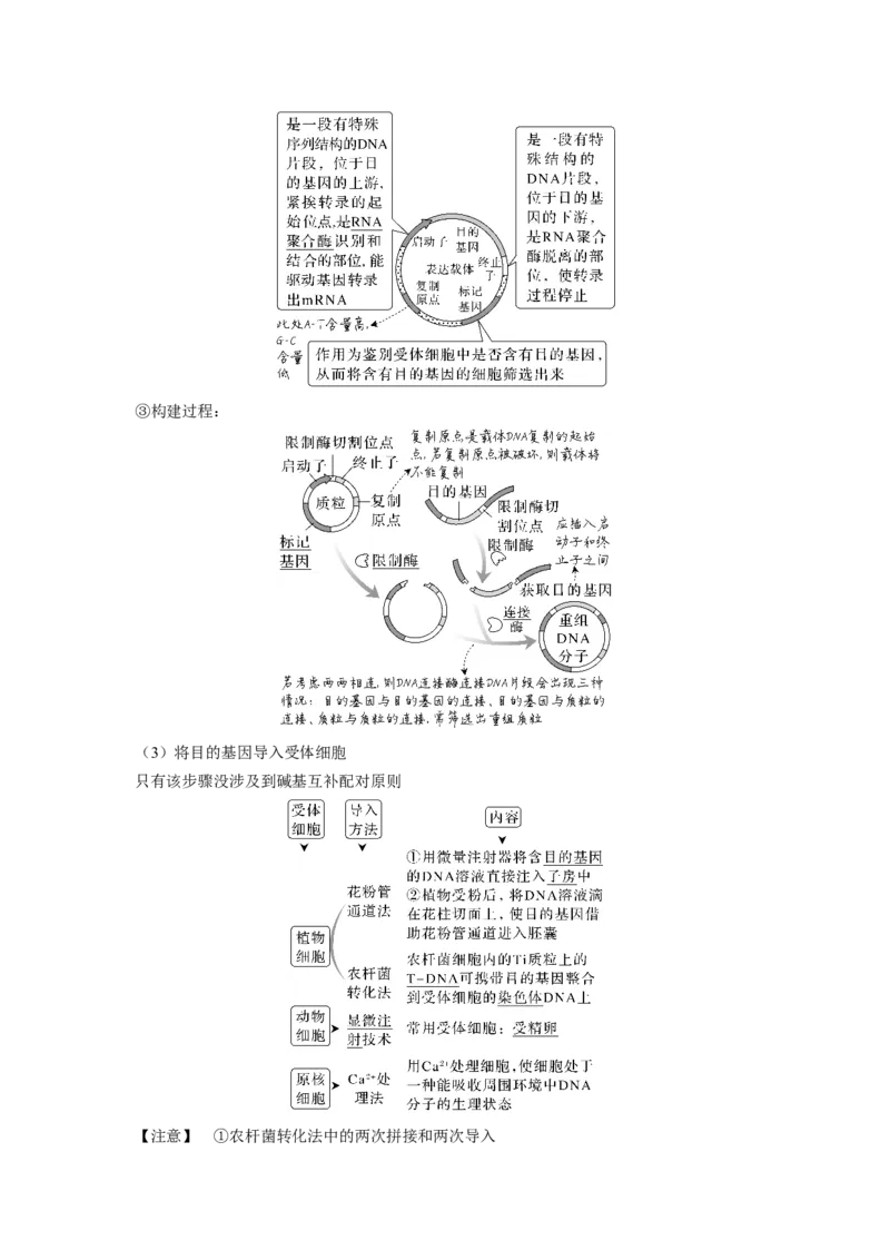 考向28基因工程及生物技术安全性与伦理问题-备战2023年高考生物一轮复习考点微专题（全国通用）（原卷版）(1)_通用版（老高考）复习资料_2023年复习资料_一轮复习