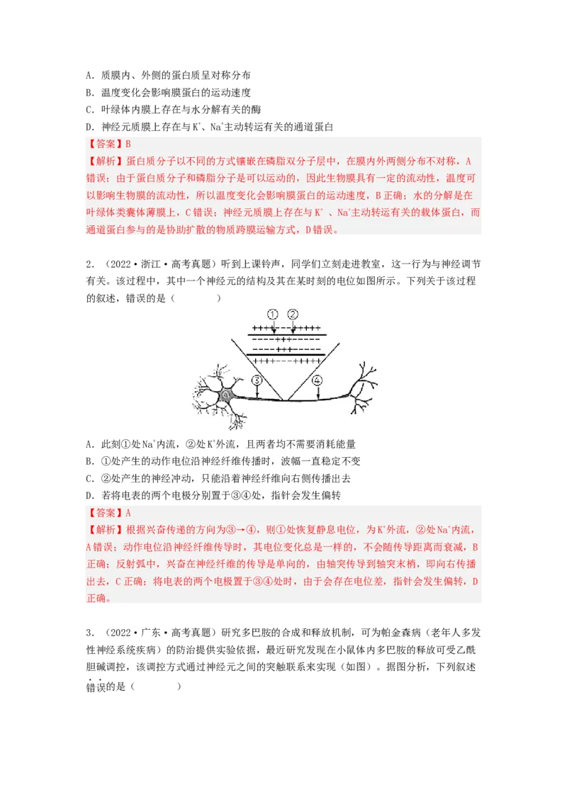 考点25神经调节（解析版）_通用版（老高考）复习资料_2023年复习资料_一轮复习_2023年高考生物一轮复习讲练测（全国通用）