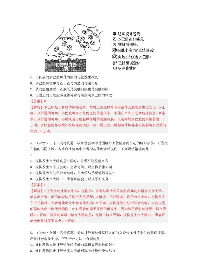 考点25神经调节（解析版）_通用版（老高考）复习资料_2023年复习资料_一轮复习_2023年高考生物一轮复习讲练测（全国通用）