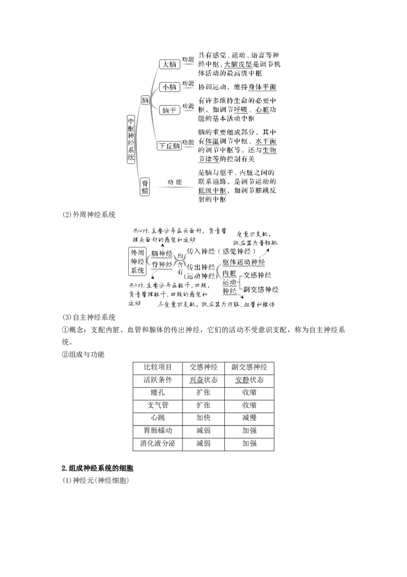 考点25神经调节（解析版）_通用版（老高考）复习资料_2023年复习资料_一轮复习_2023年高考生物一轮复习讲练测（全国通用）