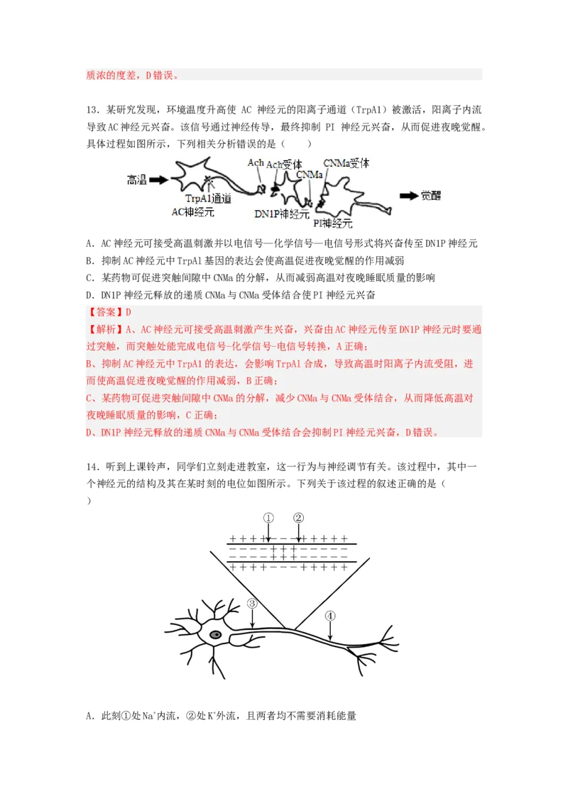 考点25神经调节（解析版）_通用版（老高考）复习资料_2023年复习资料_一轮复习_2023年高考生物一轮复习讲练测（全国通用）