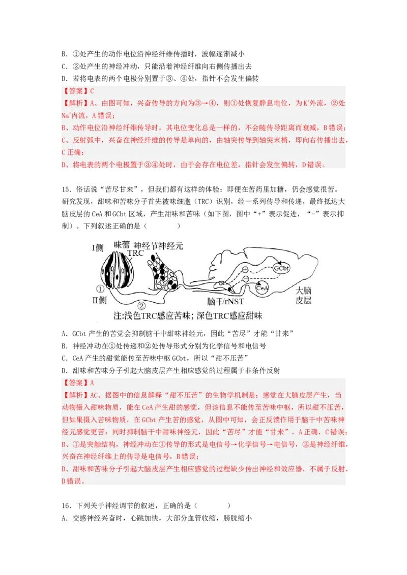 考点25神经调节（解析版）_通用版（老高考）复习资料_2023年复习资料_一轮复习_2023年高考生物一轮复习讲练测（全国通用）