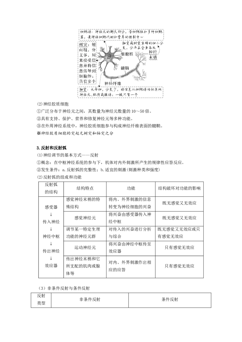 考点25神经调节（解析版）_通用版（老高考）复习资料_2023年复习资料_一轮复习_2023年高考生物一轮复习讲练测（全国通用）