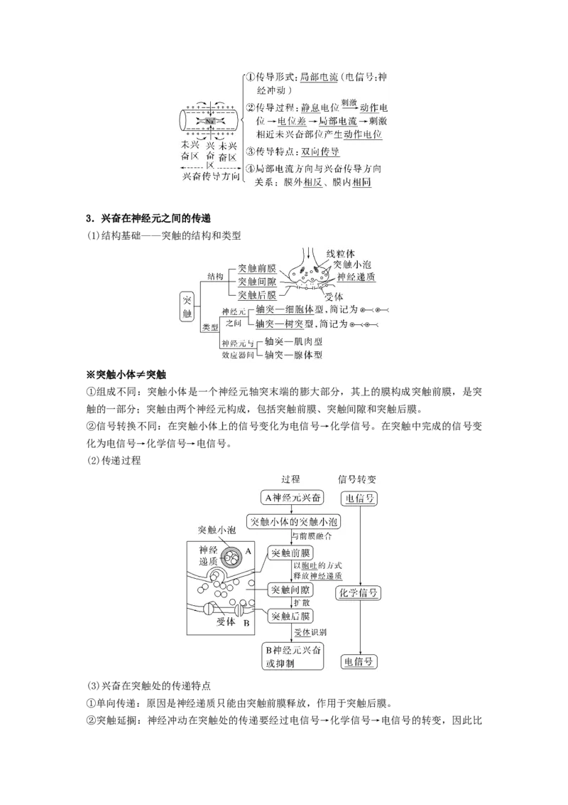考点25神经调节（解析版）_通用版（老高考）复习资料_2023年复习资料_一轮复习_2023年高考生物一轮复习讲练测（全国通用）